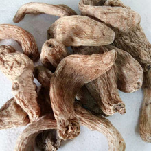 【北京天麻】北京天麻價格/圖片_北京天麻批發/采購_北京天麻廠家/供應商