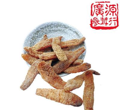 天麻珍品 探尋吉林長(zhǎng)白山野生天麻的藥用價(jià)值與市場(chǎng)前景