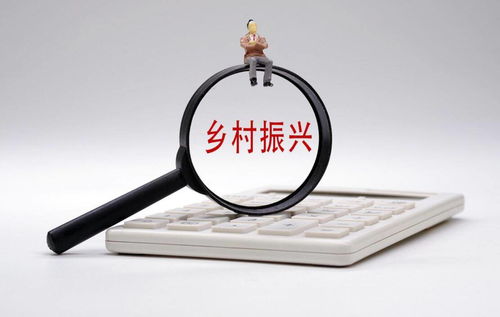 打通金融“最后一公里”，以多元服務(wù)賦能鄉(xiāng)村振興